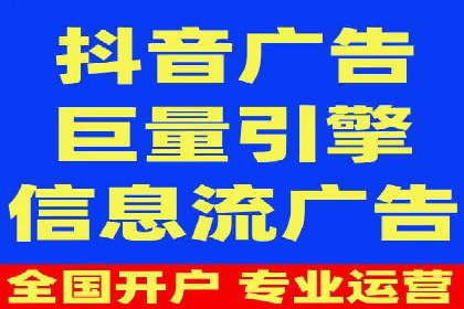 XX领域竞价广告的投放策略及效果展示