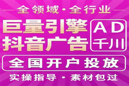 热门SEM运营公司案例深度剖析